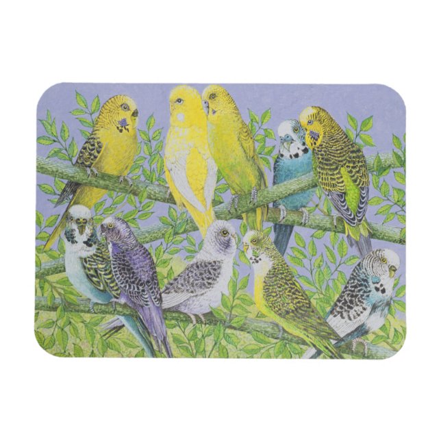 Imán Sweet Talking (Horizontal)