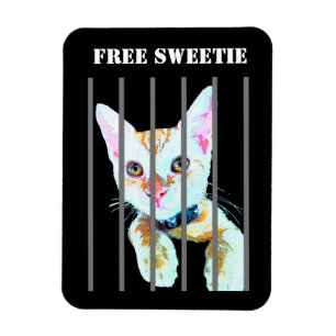 Imán Sweetie Imán-Libre del gato divertido