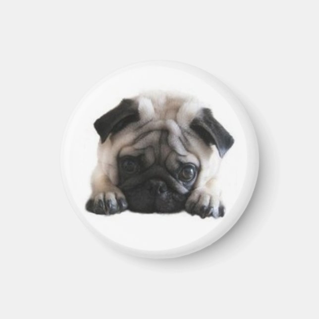 Imán SweetPea Pugs Round Fridge Magnet (Frente)