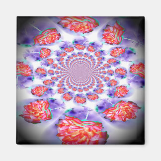 Imán Swirling Rosa Rosa