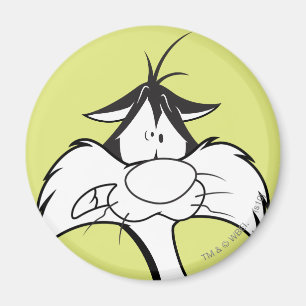 Imán SYLVESTER™ Face