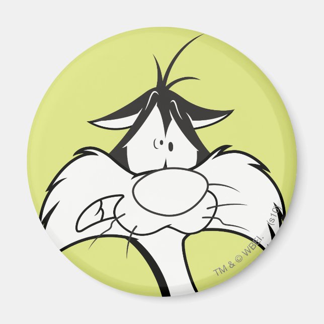 Imán SYLVESTER™ Face (Frente)