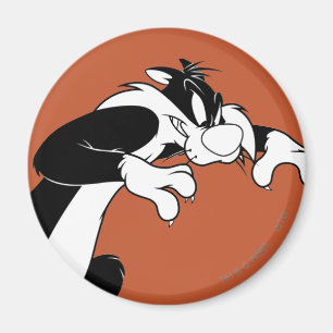Imán SYLVESTER™ Prowling