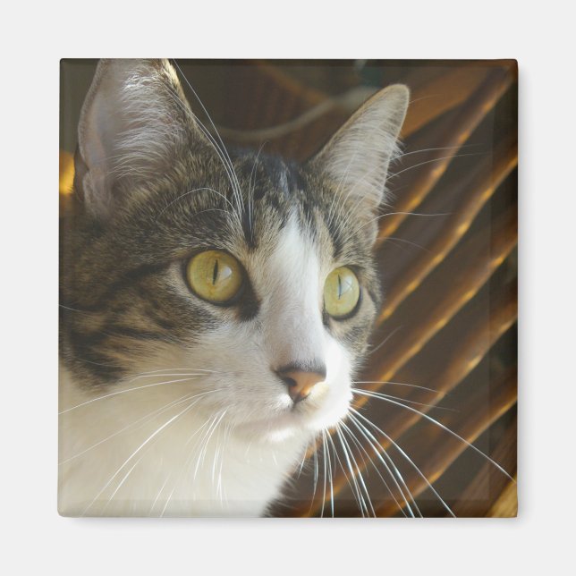 Imán Syrus Magnet 003 (Frente)