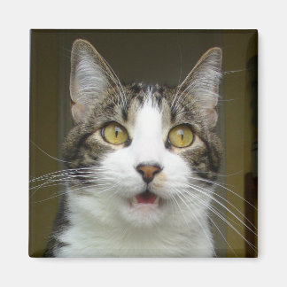 Imán Syrus Shocked Magnet 0001