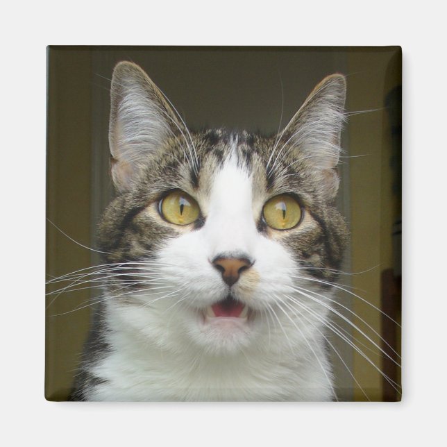 Imán Syrus Shocked Magnet 0001 (Frente)