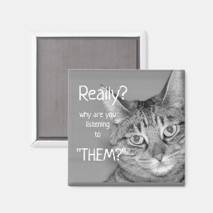 Imán Tabby Cat, ¿En serio? ¿Por qué los escuchas?