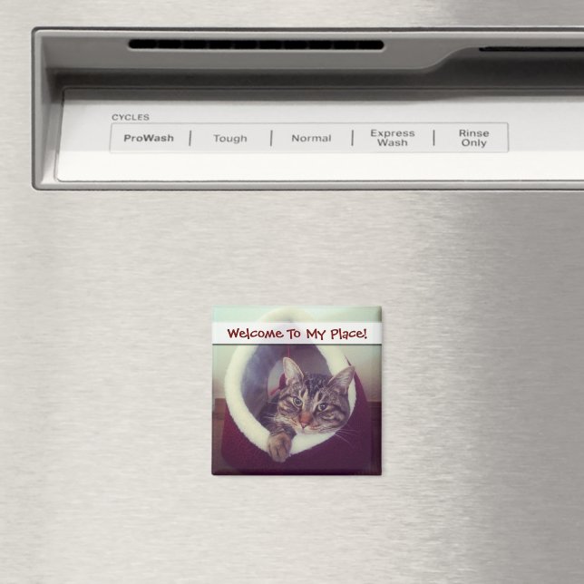 Imán Tabby Kitty In Hut Close-Up Photograph (In situ (lavavajillas))