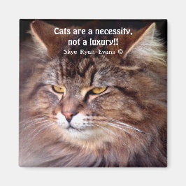 Imán Tabby Maine Coon Cat Lover & Poem Magnet