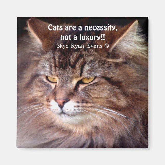 Imán Tabby Maine Coon Cat Lover & Poem Magnet (Frente)