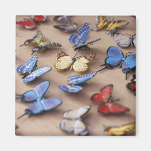 Imán Tabla por completo de mariposas