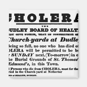 Imán Tablero de Dudley de salud