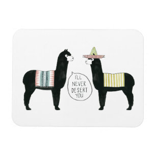 Imán Taco al respecto  Nunca te voy a desolar