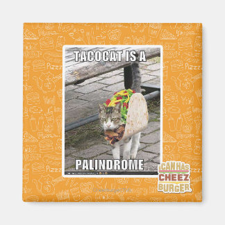 IMÁN TACOCAT ES UN PALINDROME