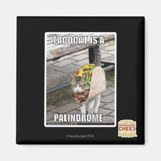 IMÁN TACOCAT ES UN PALINDROME