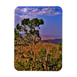 Imán Taif, Arabia Saudita