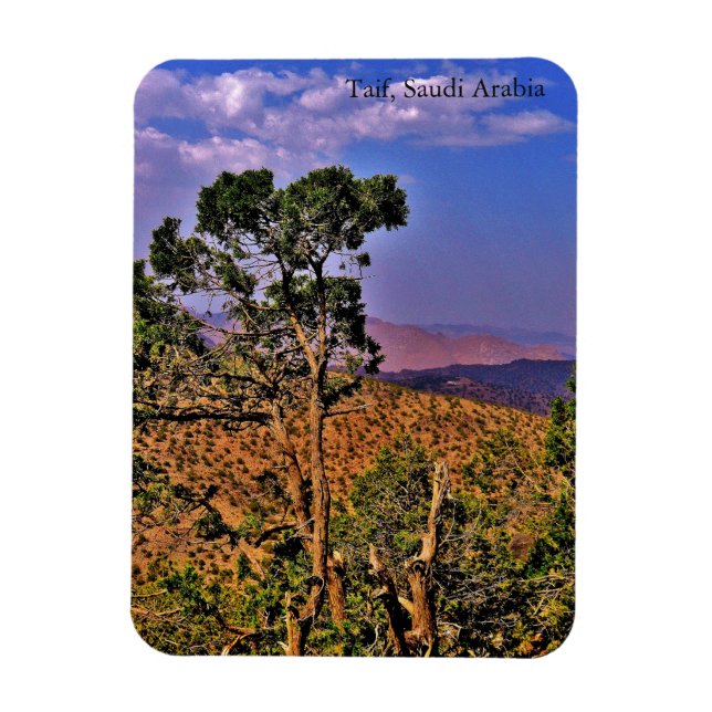 Imán Taif, Arabia Saudita (Vertical)