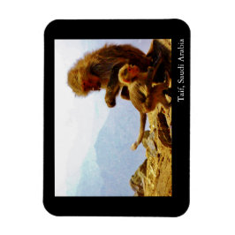 Imán Taif, Arabia Saudita