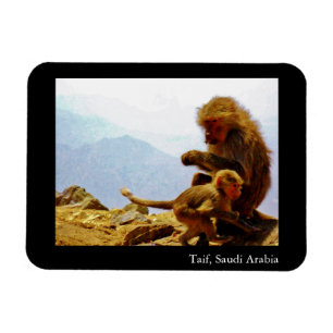 Imán Taif, la Arabia Saudita
