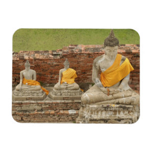 Imán Tailandia, Ayutthaya. Estatuas de budas sentados