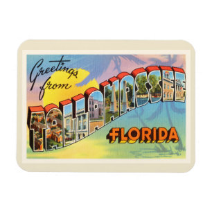 Imán Tallahassee Florida FL Old Vintage Travel Souvenir