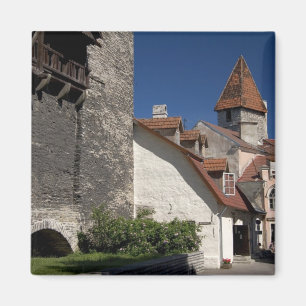 Imán Tallin, Estonia. Tallin es algo así como una