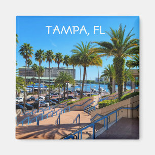 Imán Tampa, frigorífico de Florida 