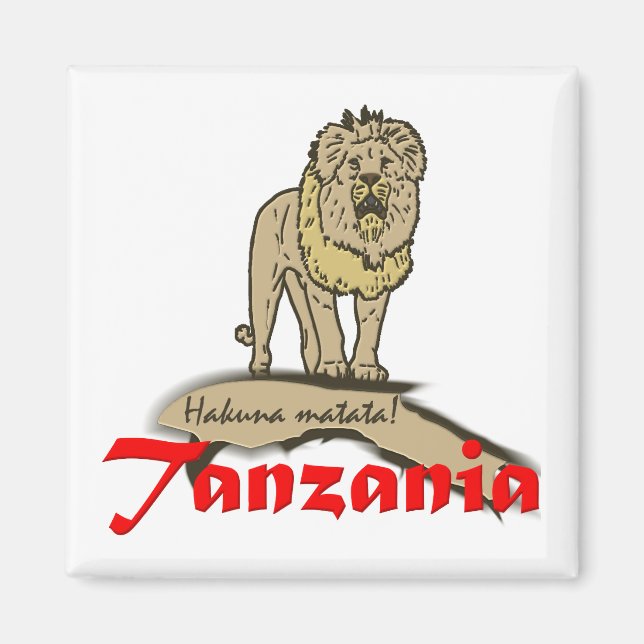 Imán Tanzania Goodies (Frente)