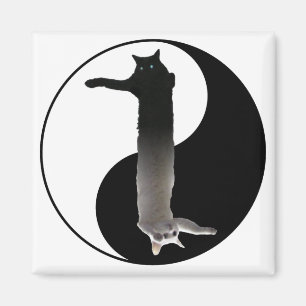 Imán Tao de Longcat