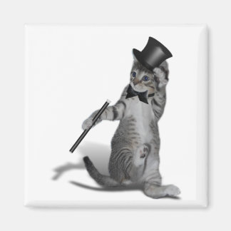 Imán Tap Dancing Cat