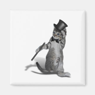 Imán Tap Dancing Kitten