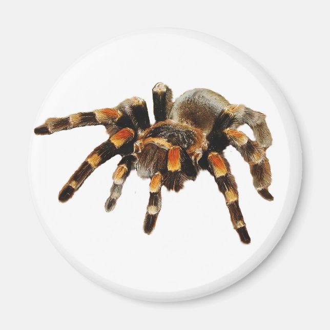 Imán Tarantula (Frente)