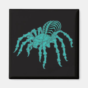 Imán Tarantula esquelético