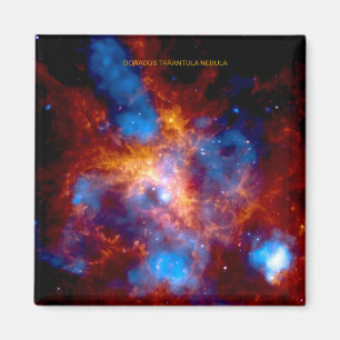 Imán Tarantula Nebula