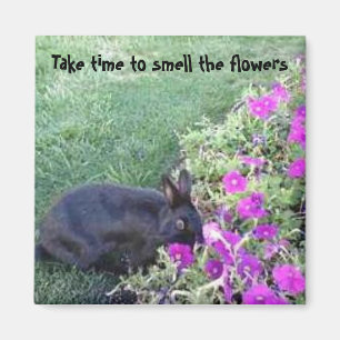 Imán Tarde el tiempo para oler las flores