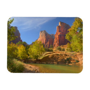 Imán Tarde En El Parque Nacional De Zion