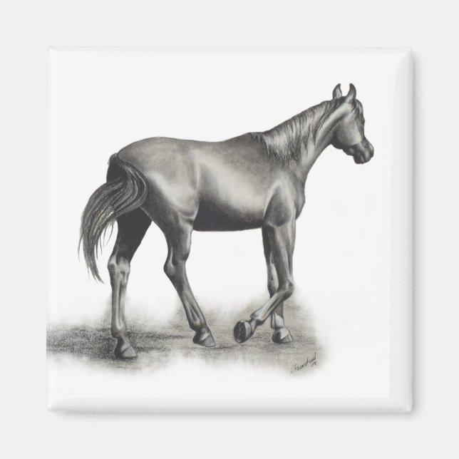 Imán Tarde Fácil (Frente)