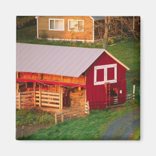 Imán Tareas matutinas en la granja. EE. UU., Vermont,