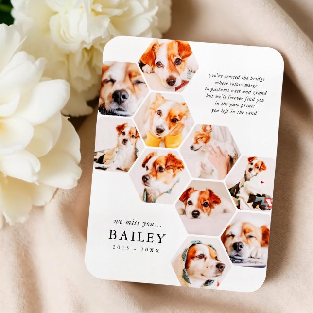 Imán Tarjeta de Collage de fotos 10 simple mascota Memo (Subido por el creador)