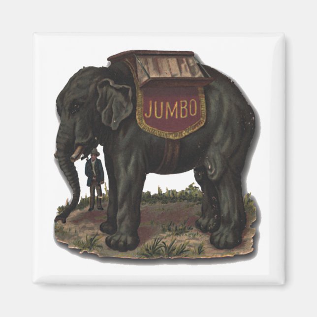 Imán Tarjeta de corte de luz antibiótico vintage Jumbo  (Frente)