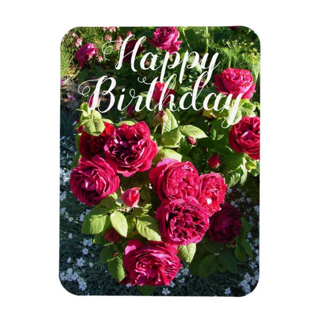 Imán Tarjeta de cumpleaños del jardín de flores Red Ros (Vertical)