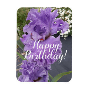 Imán Tarjeta de cumpleaños floral Iris Irises Purple F