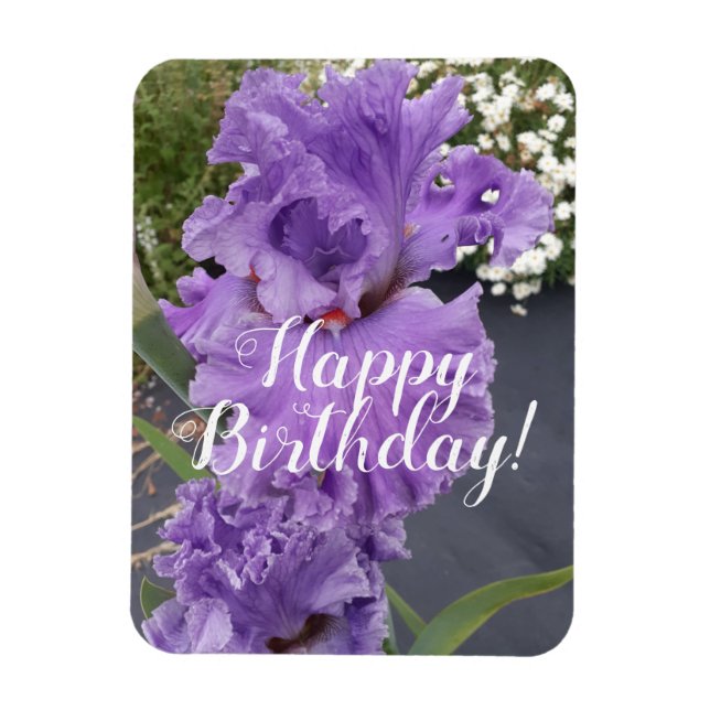 Imán Tarjeta de cumpleaños floral Iris Irises Purple Fl (Vertical)