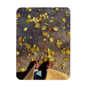 Imán Tarjeta de felicitación Chicago Fall