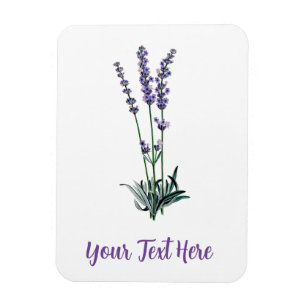 Imán Tarjeta de flor de lavanda veneciana personalizada