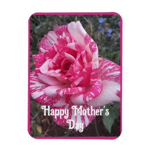 Imán Tarjeta del Día de la Madre con Flores Rosadas Flo