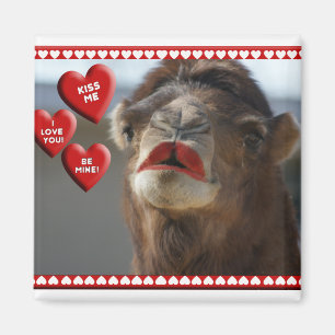 IMÁN ¡TARJETA DEL DÍA DE SAN VALENTÍN DEL CAMELLO -