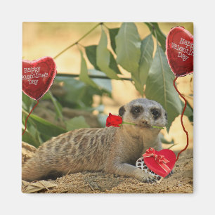 Imán Tarjeta del día de San Valentín Meerkat