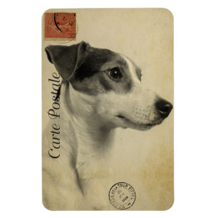 Imán Tarjeta Postal Antigua de Jack Russell