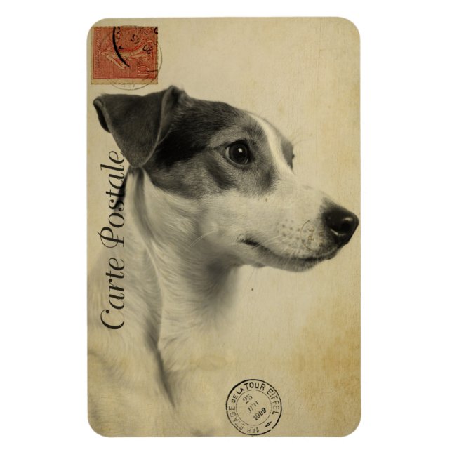 Imán Tarjeta Postal Antigua de Jack Russell (Vertical)